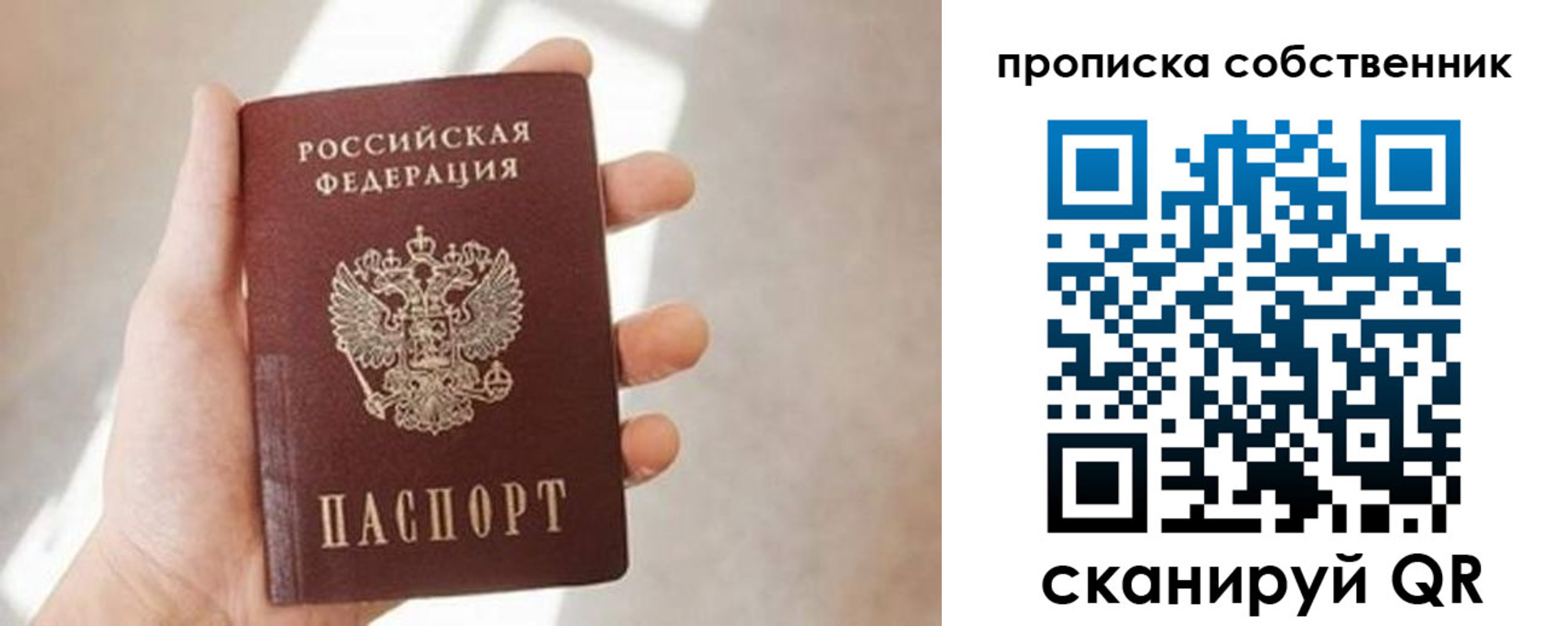 прописка в Лесном